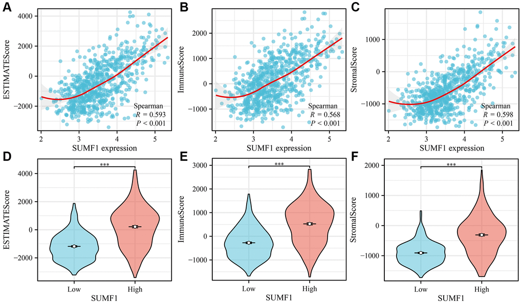 Correlation between SUMF1 and glioma immunity. (A–C) Correlation analysis; (D–F) Expression analysis after grouping.