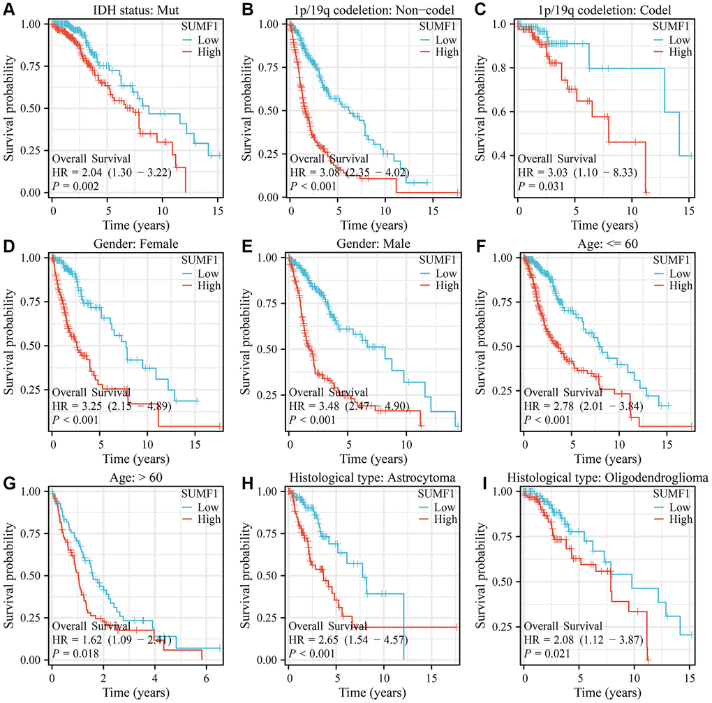 SUMF1 overexpression is significantly correlated with poor survival time in subgroups of glioma. (A) IDH mutant patients; (B) Patients with the non-codel in 1p/19q codeletion; (C) Patients with the codel in 1p/19q codeletion; (D) Female; (E) Male; (F) Age ≤60; (G) Age >60; (H) Astrocytoma; (I) Oligodendroglioma.