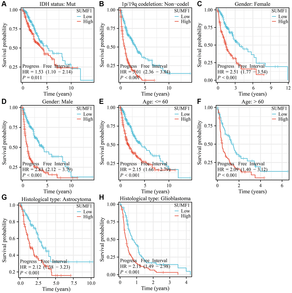 SUMF1 overexpression is significantly correlated with cancer progression in subgroups of patients with glioma. (A) IDH mutant patients; (B) The patients with the non-codel in 1p/19q codeletion; (C) Female; (D) Male; (E) Age ≤60; (F) Age >60; (G) Astrocytoma; (H) Oligodendroglioma.