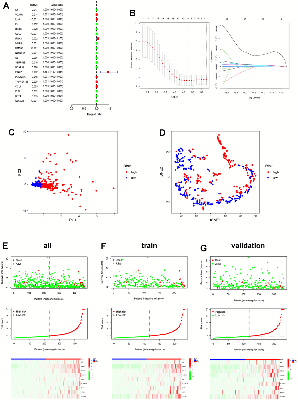 Construction of ICD-related prognostic model. (A) Univariate Cox analysis evaluates the prognostic value of the ICDRGs in terms of OS; (B) LASSO regression analysis to develop the prognostic model; (C, D) PCA and t-SNE analysis in the all TCGA set. The nine model genes did a more accurate job of dividing patients into two groups; (E–G) The survival status, risk score, and model gene expression in the TCGA all, train and validation sets.